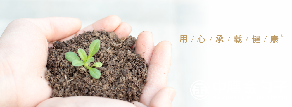 1669619705207209.png 頂關注.png